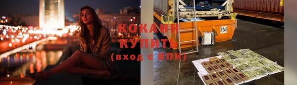 ГАЛЛЮЦИНОГЕННЫЕ ГРИБЫ Лагань