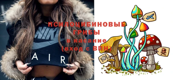 ГАЛЛЮЦИНОГЕННЫЕ ГРИБЫ Лагань
