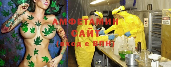 ГАЛЛЮЦИНОГЕННЫЕ ГРИБЫ Лагань
