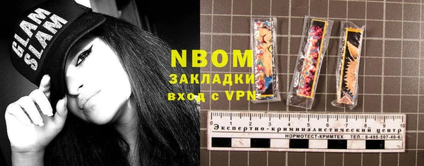 ГАЛЛЮЦИНОГЕННЫЕ ГРИБЫ Лагань