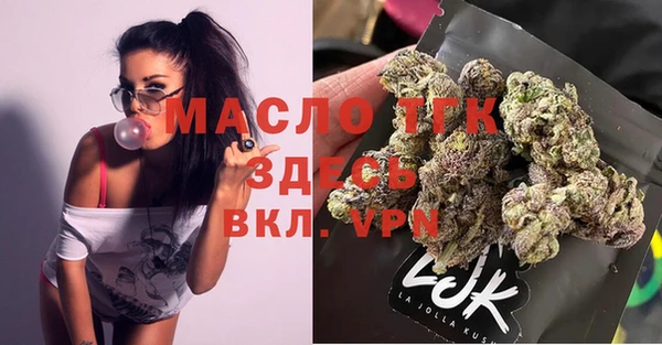 ГАЛЛЮЦИНОГЕННЫЕ ГРИБЫ Лагань