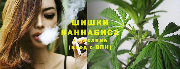 мдпв Пересвет