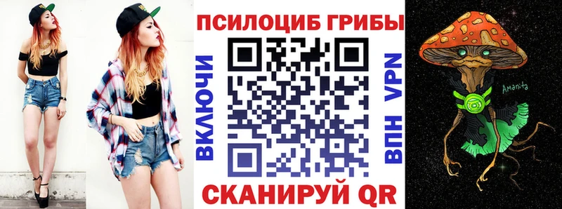 Псилоцибиновые грибы прущие грибы  Цимлянск 