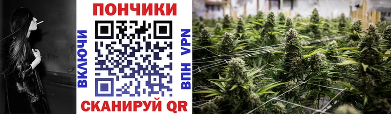 Бошки Шишки сатива  Цимлянск 
